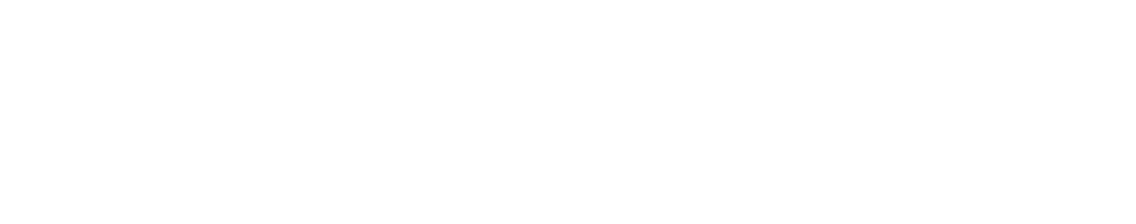 DQC / Revenue Integrity